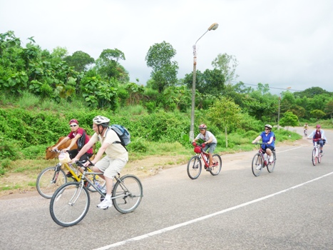 DAILY BIKE TOURS